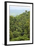 Jungle at Arenal Hanging Bridges Where Rainforest Canopy Is Accessible Via Walkways-Rob Francis-Framed Photographic Print