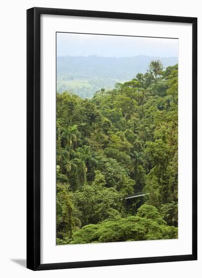 Jungle at Arenal Hanging Bridges Where Rainforest Canopy Is Accessible Via Walkways-Rob Francis-Framed Photographic Print