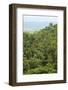 Jungle at Arenal Hanging Bridges Where Rainforest Canopy Is Accessible Via Walkways-Rob Francis-Framed Photographic Print