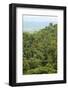 Jungle at Arenal Hanging Bridges Where Rainforest Canopy Is Accessible Via Walkways-Rob Francis-Framed Photographic Print