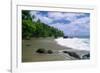 Jungle at the Shore, Costa Rica-George Oze-Framed Photographic Print