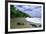 Jungle at the Shore, Costa Rica-George Oze-Framed Photographic Print