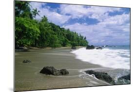 Jungle at the Shore, Costa Rica-George Oze-Mounted Photographic Print