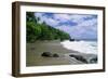 Jungle at the Shore, Costa Rica-George Oze-Framed Photographic Print