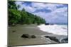 Jungle at the Shore, Costa Rica-George Oze-Mounted Photographic Print