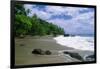 Jungle at the Shore, Costa Rica-George Oze-Framed Photographic Print