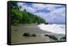 Jungle at the Shore, Costa Rica-George Oze-Framed Stretched Canvas