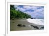 Jungle at the Shore, Costa Rica-George Oze-Framed Photographic Print