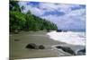 Jungle at the Shore, Costa Rica-George Oze-Mounted Photographic Print