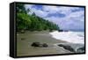 Jungle at the Shore, Costa Rica-George Oze-Framed Stretched Canvas