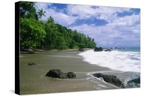 Jungle at the Shore, Costa Rica-George Oze-Stretched Canvas