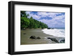 Jungle at the Shore, Costa Rica-George Oze-Framed Photographic Print