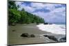 Jungle at the Shore, Costa Rica-George Oze-Mounted Photographic Print