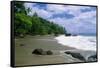 Jungle at the Shore, Costa Rica-George Oze-Framed Stretched Canvas