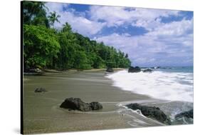 Jungle at the Shore, Costa Rica-George Oze-Stretched Canvas