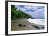 Jungle at the Shore, Costa Rica-George Oze-Framed Photographic Print