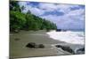 Jungle at the Shore, Costa Rica-George Oze-Mounted Photographic Print