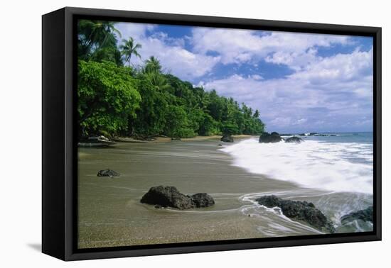 Jungle at the Shore, Costa Rica-George Oze-Framed Stretched Canvas