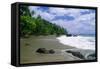 Jungle at the Shore, Costa Rica-George Oze-Framed Stretched Canvas