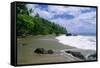 Jungle at the Shore, Costa Rica-George Oze-Framed Stretched Canvas