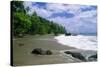 Jungle at the Shore, Costa Rica-George Oze-Stretched Canvas