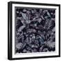 Jungle Canopy Midnight-Bill Jackson-Framed Giclee Print