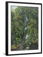 Jungle Cascade-19th Century English School -Framed Premium Giclee Print