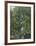 Jungle Cascade-19th Century English School -Framed Premium Giclee Print