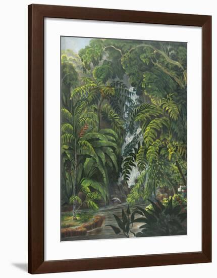 Jungle Cascade-19th Century English School -Framed Premium Giclee Print