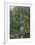 Jungle Cascade-19th Century English School -Framed Premium Giclee Print