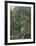 Jungle Cascade-19th Century English School -Framed Premium Giclee Print