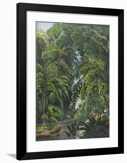 Jungle Cascade-19th Century English School -Framed Premium Giclee Print