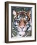 Jungle Cat I-Jennifer Parker-Framed Art Print