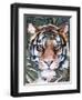 Jungle Cat I-Jennifer Parker-Framed Art Print
