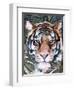 Jungle Cat I-Jennifer Parker-Framed Art Print