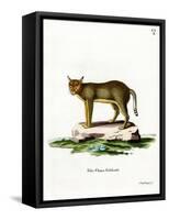 Jungle Cat-null-Framed Stretched Canvas