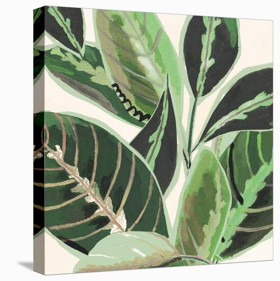 Jungle Close Up II-Katherine & Elizabeth Pope-Stretched Canvas