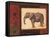 Jungle Elephant-Linda Wacaster-Framed Stretched Canvas