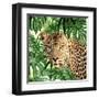 Jungle Eyes 2-Kimberly Allen-Framed Art Print