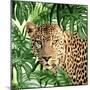 Jungle Eyes 2-Kimberly Allen-Mounted Art Print