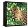 Jungle Eyes 2-Kimberly Allen-Framed Stretched Canvas