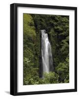 Jungle Falls-J.D. Mcfarlan-Framed Photographic Print