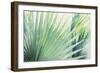 Jungle Fever-Elizabeth Kay-Framed Art Print