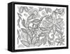 Jungle Flora 1 Less-Pam Varacek-Framed Stretched Canvas