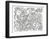 Jungle Flora 1 Less-Pam Varacek-Framed Art Print