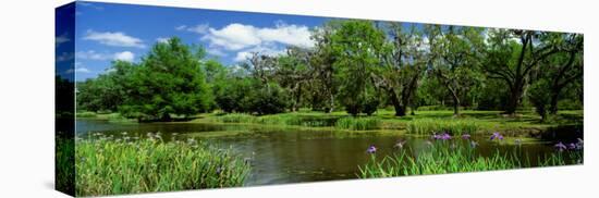 Jungle Gardens, Avery Island, Southern, Louisiana, USA-null-Stretched Canvas