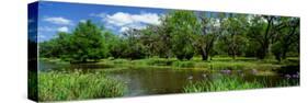 Jungle Gardens, Avery Island, Southern, Louisiana, USA-null-Stretched Canvas