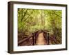 Jungle Landscape in Vintage Style. Wooden Bridge at Tropical Rain Forest. Doi Inthanon Park, Thaila-Im Perfect Lazybones-Framed Photographic Print