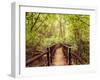 Jungle Landscape in Vintage Style. Wooden Bridge at Tropical Rain Forest. Doi Inthanon Park, Thaila-Im Perfect Lazybones-Framed Photographic Print
