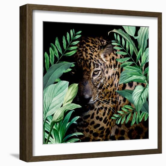 Jungle Leopard-Kimberly Allen-Framed Art Print